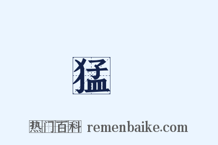 猛龍是什么意思的图片